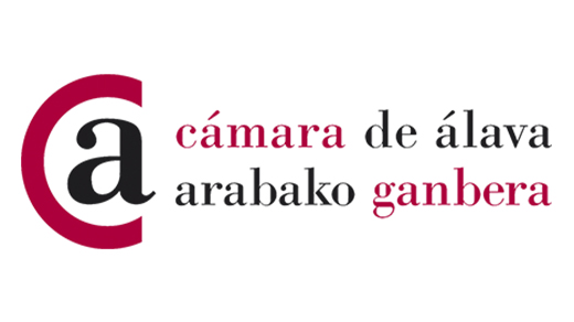 cristina juesas comunicacion y marketing digital camara comercio araba logo